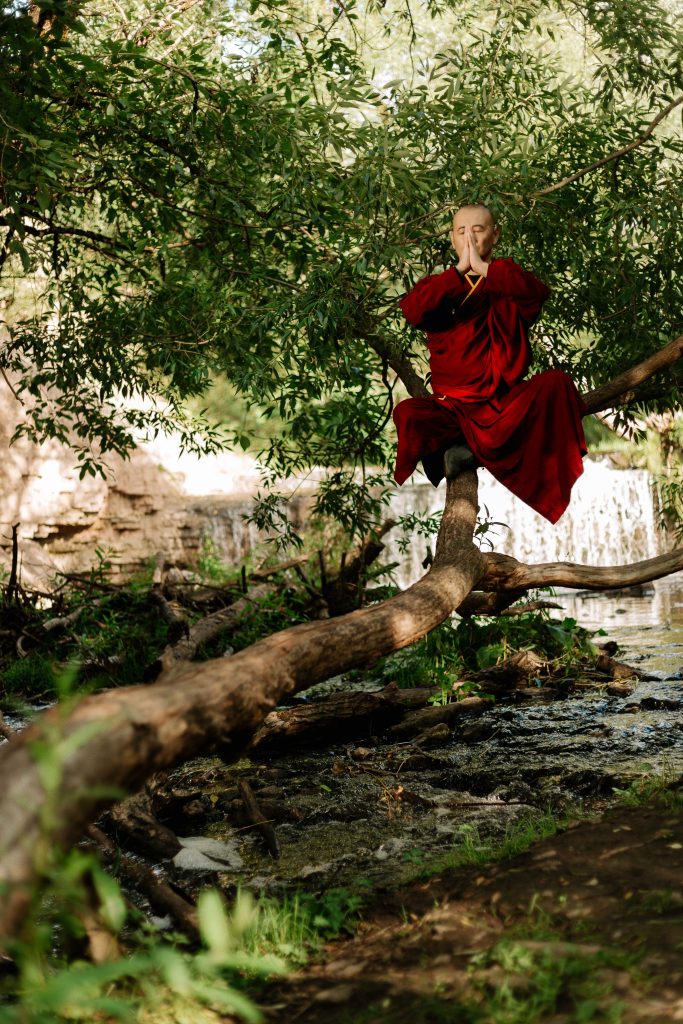 Photo of a monk meditating while balanced in a tree