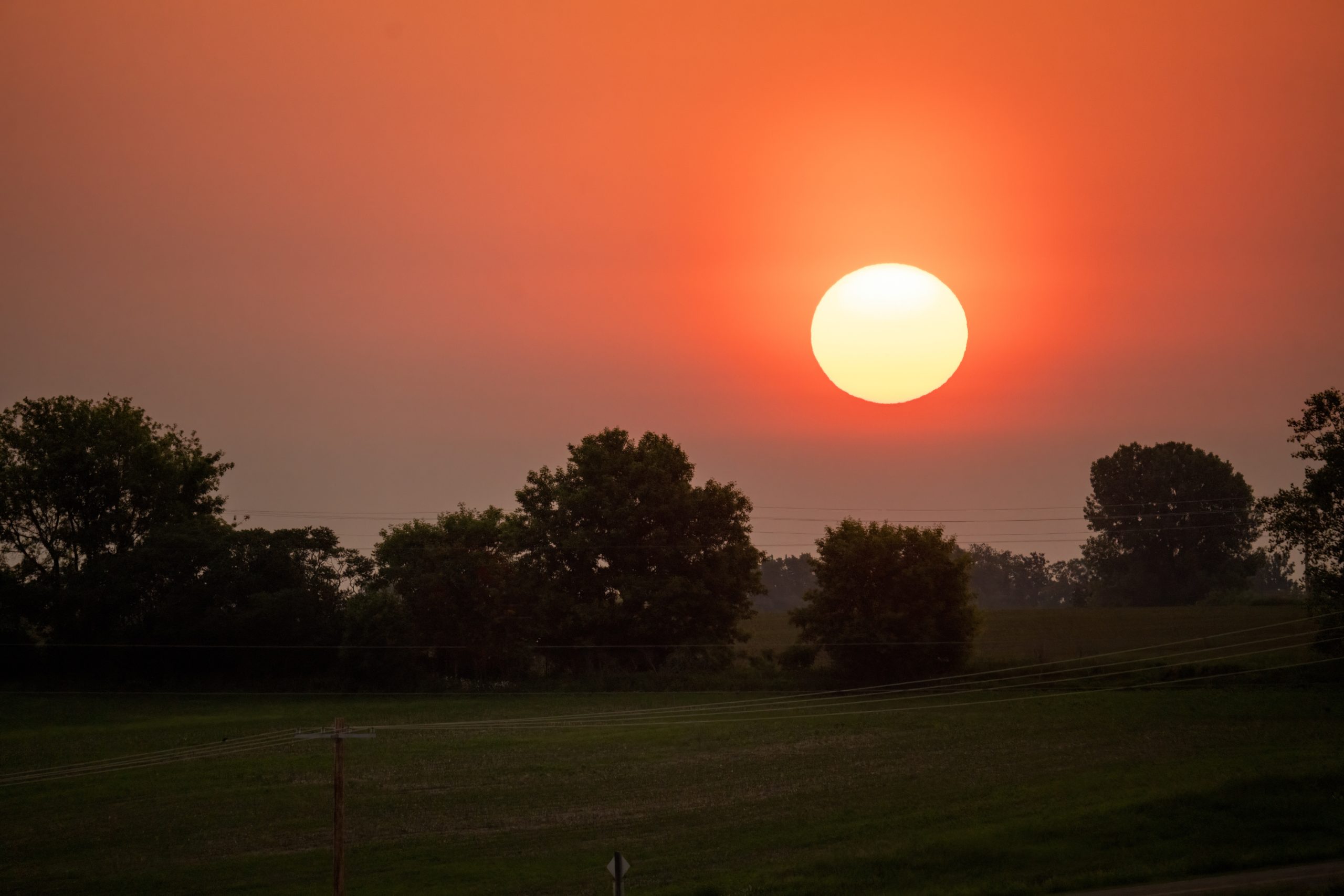 Sunset over a field with trees
